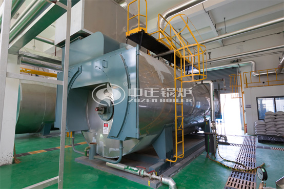 12噸WNS系列冷凝式燃?xì)庹羝仩t項目