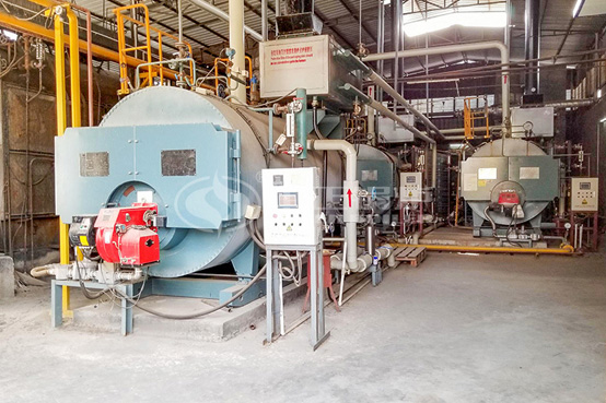 晉昇中潤紡織科技2噸WNS系列燃?xì)庹羝仩t項目